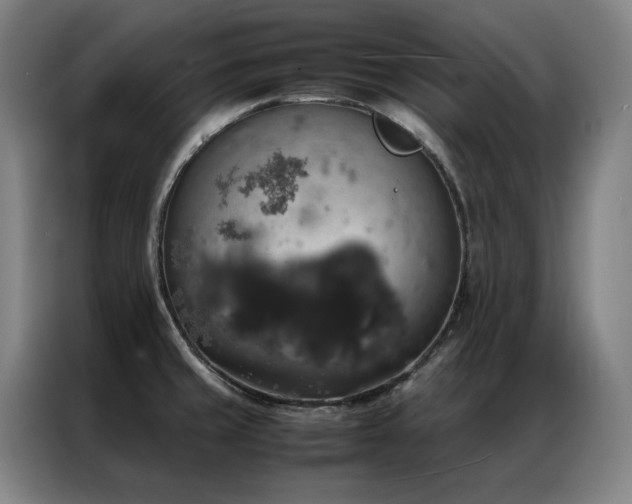 X0000087371429200704201220