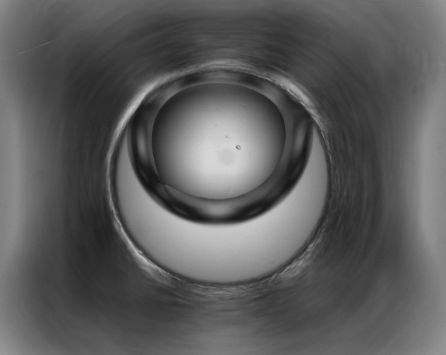 X0000087371430200704201220