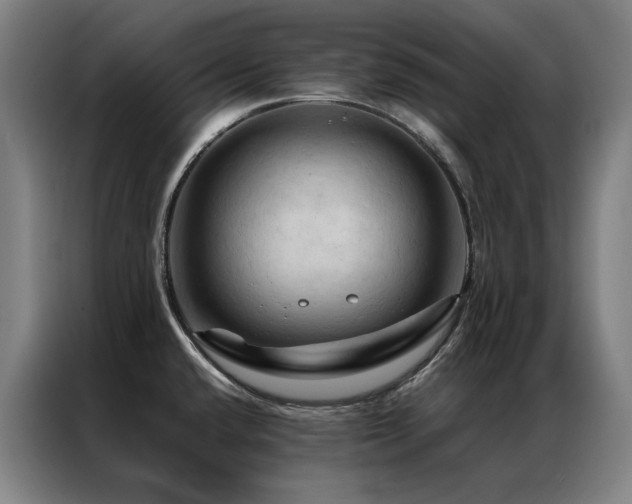 X0000087371432200704201220