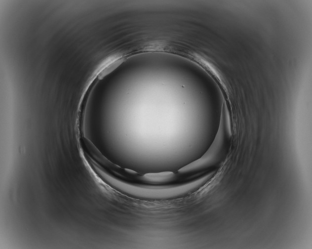 X0000087371434200704201220