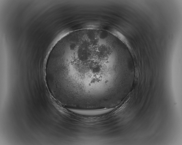 X0000087371435200704201220