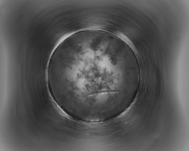 X0000087371436200704201220