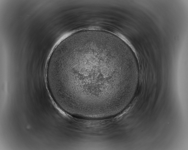 X0000087371437200704201220