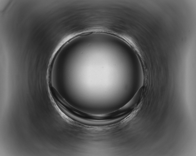 X0000087371438200704201220