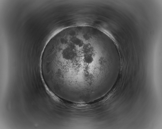 X0000087371439200704201220