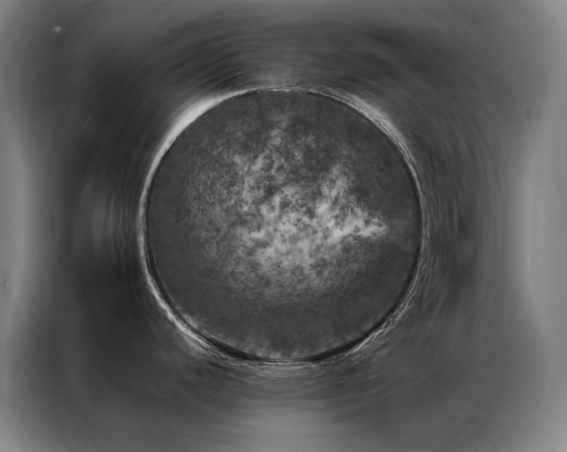 X0000087371440200704201220