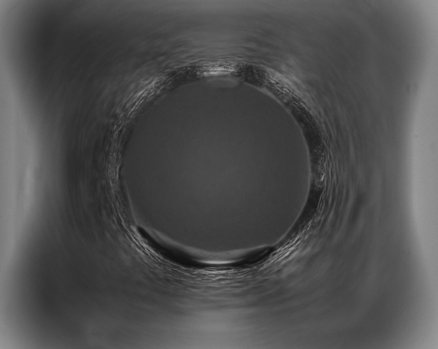 X0000087371441200704201219