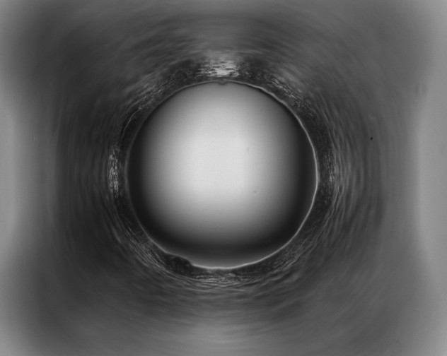 X0000087371442200704201219