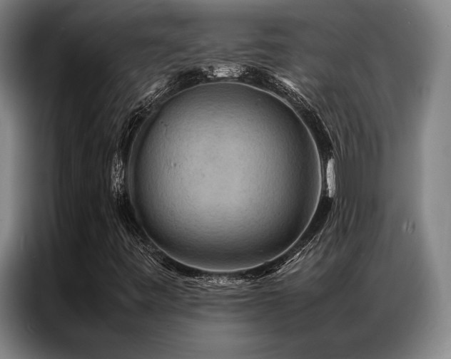 X0000087371443200704201219
