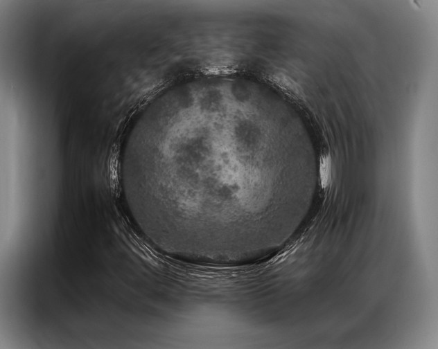 X0000087371444200704201219