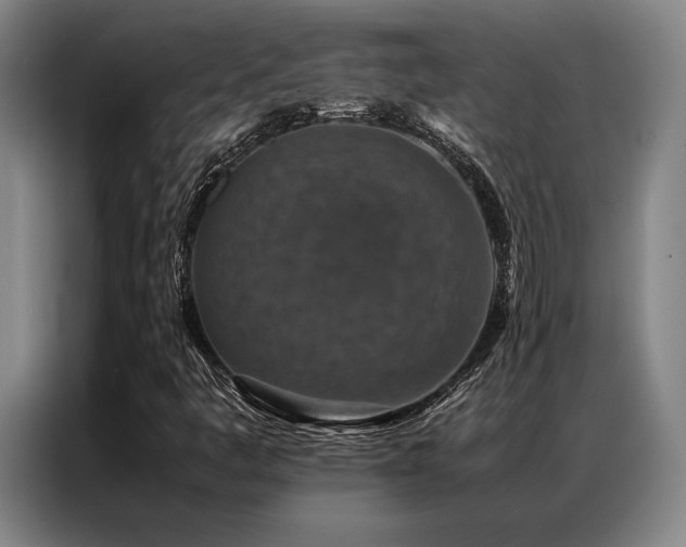 X0000087371445200704201219