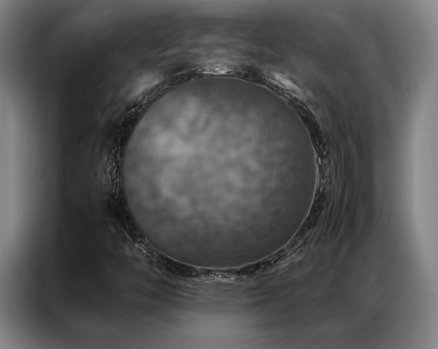 X0000087371446200704201219