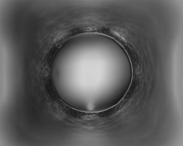 X0000087371447200704201219