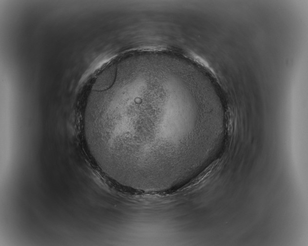 X0000087371448200704201219
