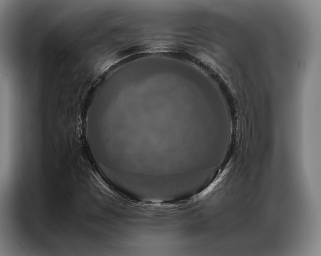 X0000087371449200704201219