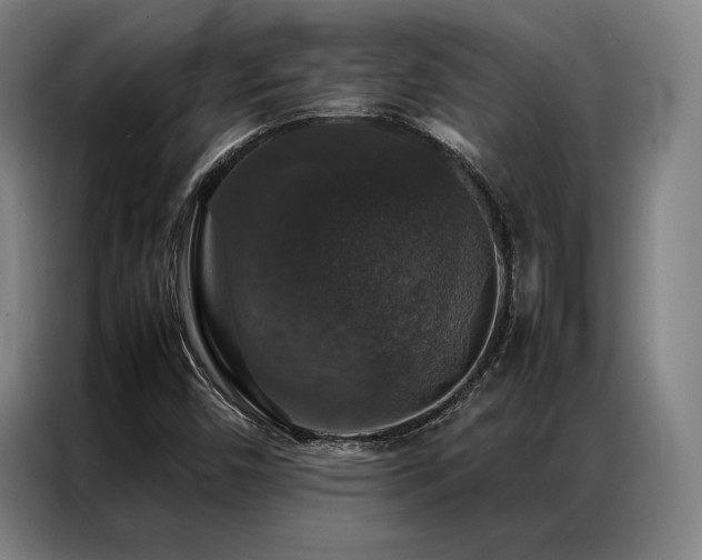 X0000087371450200704201219