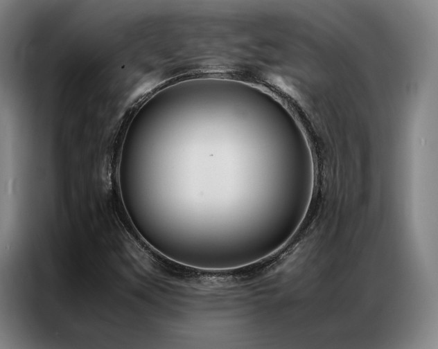 X0000087371451200704201219