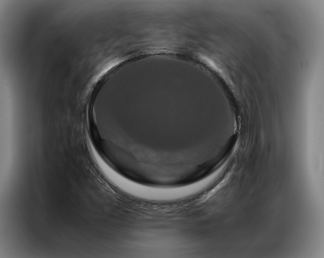 X0000087371453200704201219