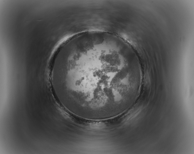 X0000087371454200704201219