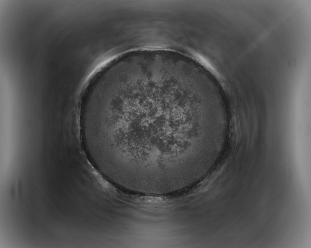 X0000087371456200704201219