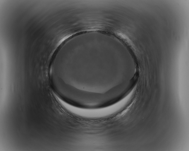 X0000087371457200704201219