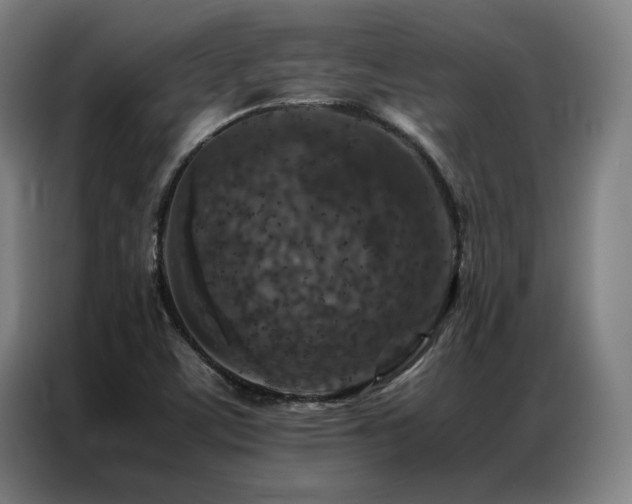 X0000087371459200704201219