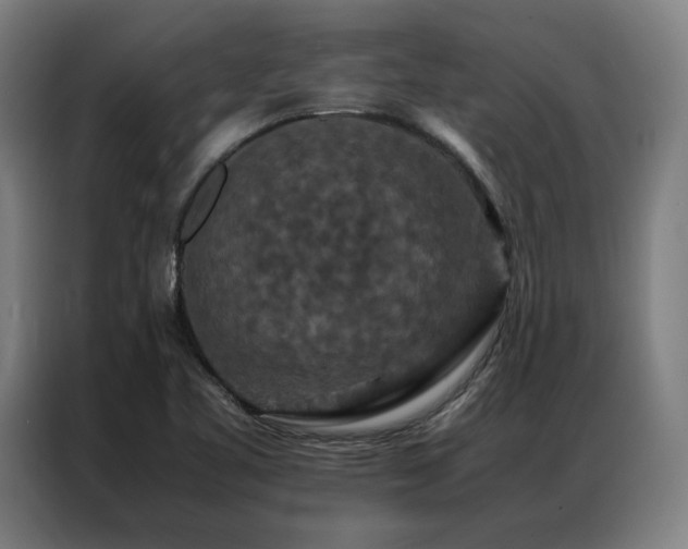 X0000087371461200704201219
