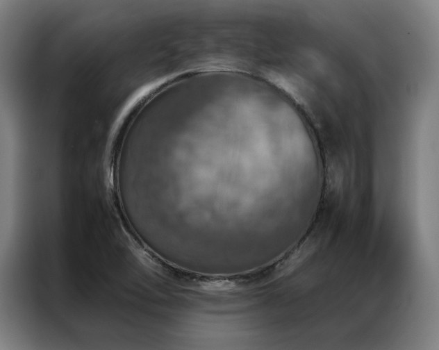 X0000087371462200704201219