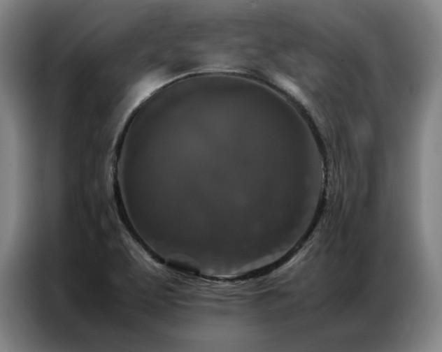 X0000087371463200704201219