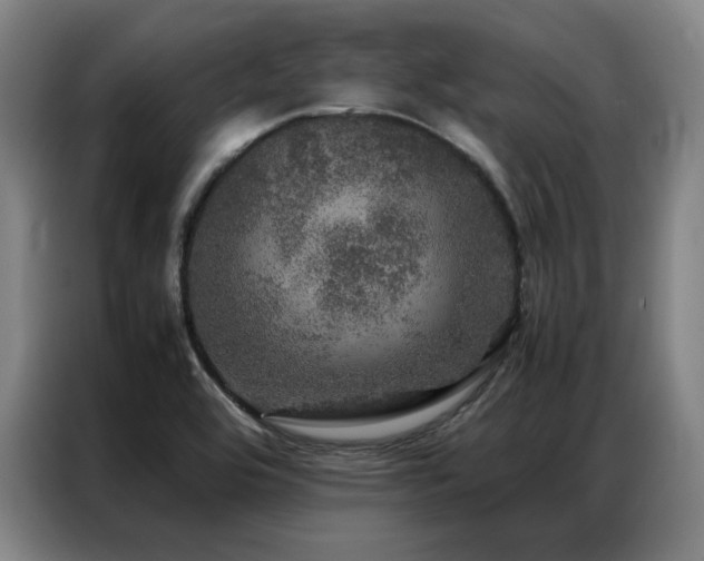 X0000087371464200704201219
