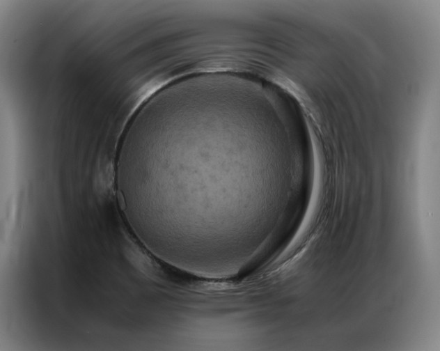 X0000087371465200704201219