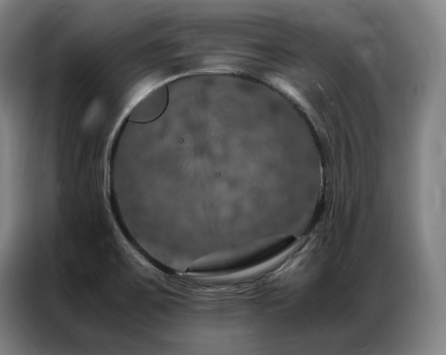 X0000087371467200704201219
