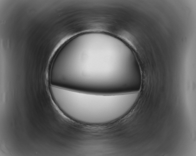 X0000087371468200704201219