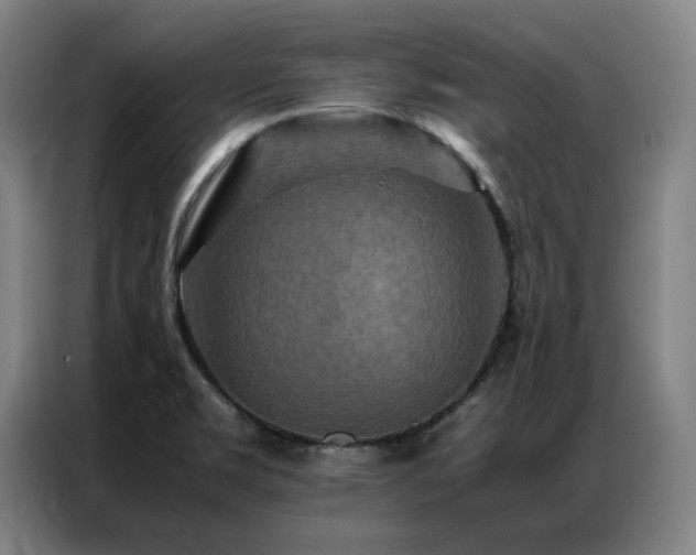 X0000087371469200704201219