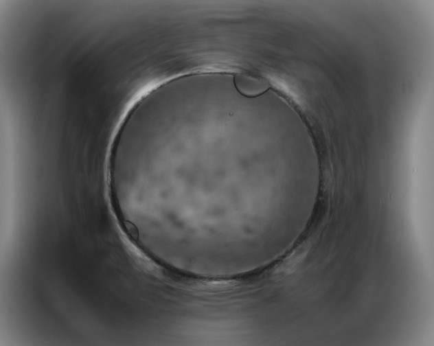 X0000087371471200704201219