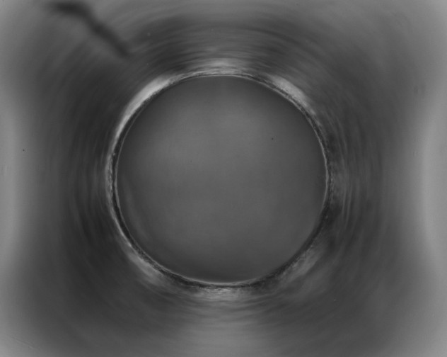 X0000087371474200704201219
