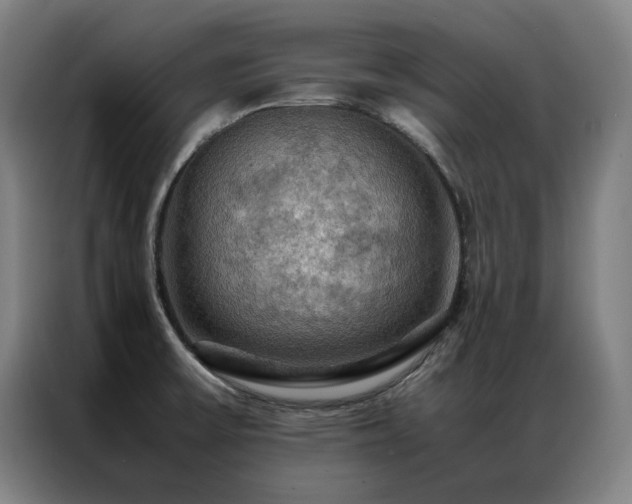 X0000087371475200704201219