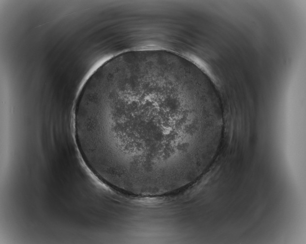 X0000087371476200704201219