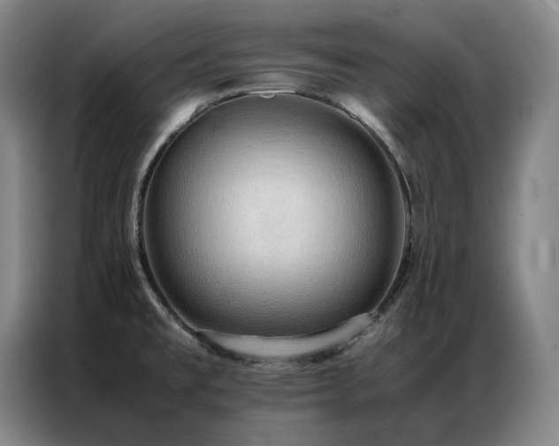 X0000087371477200704201219
