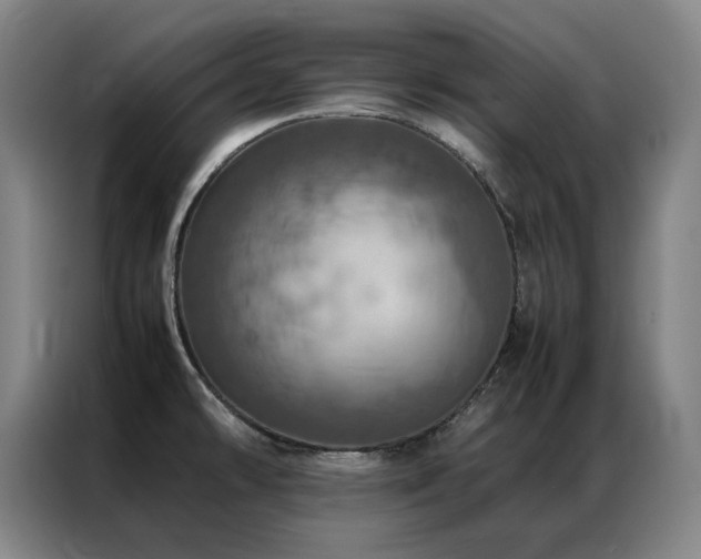 X0000087371478200704201219