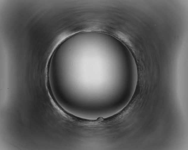 X0000087371479200704201219