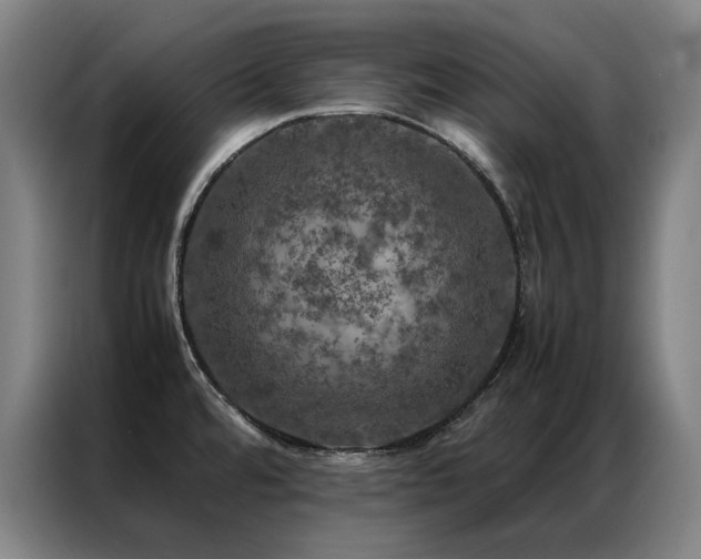 X0000087371480200704201219