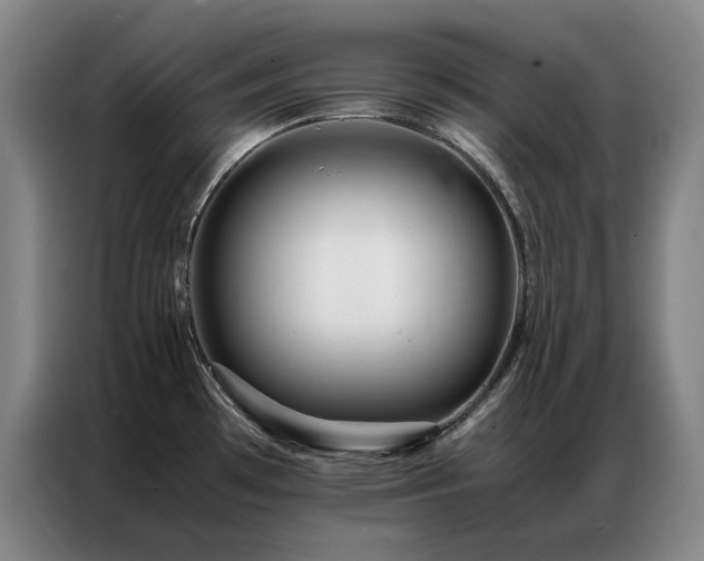 X0000087371481200704201219