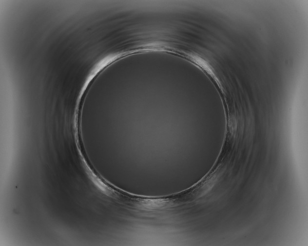 X0000087371482200704201219