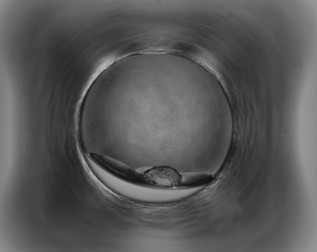 X0000087371483200704201219