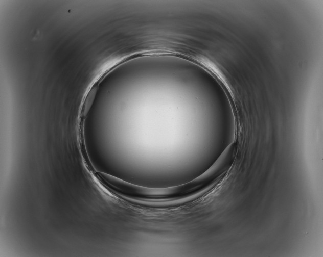 X0000087371485200704201219