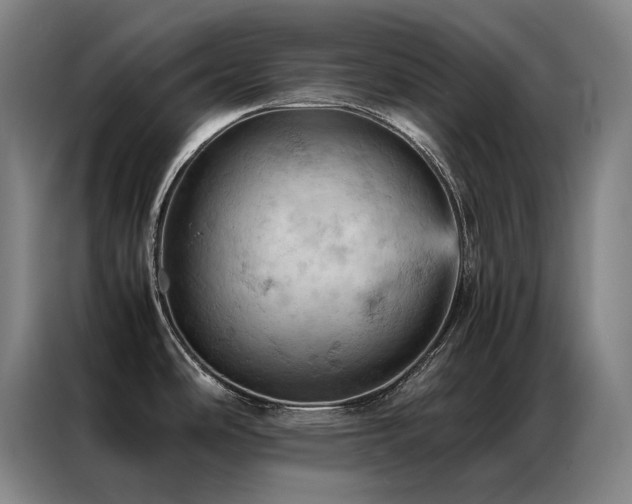 X0000087371486200704201219