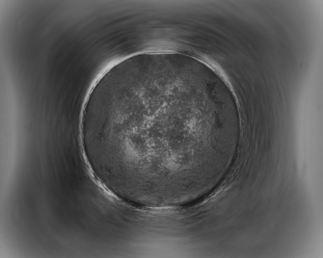 X0000087371488200704201219