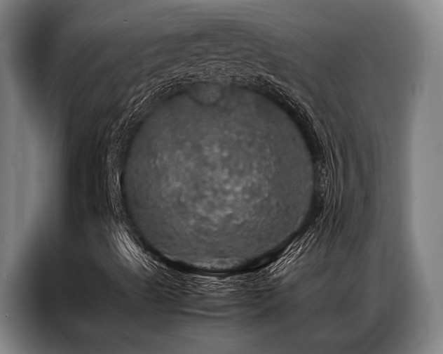X0000087371489200704201218