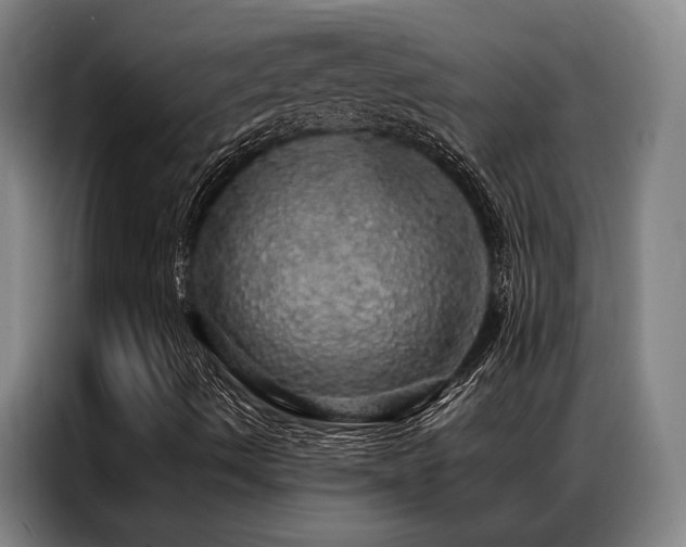 X0000087371490200704201218